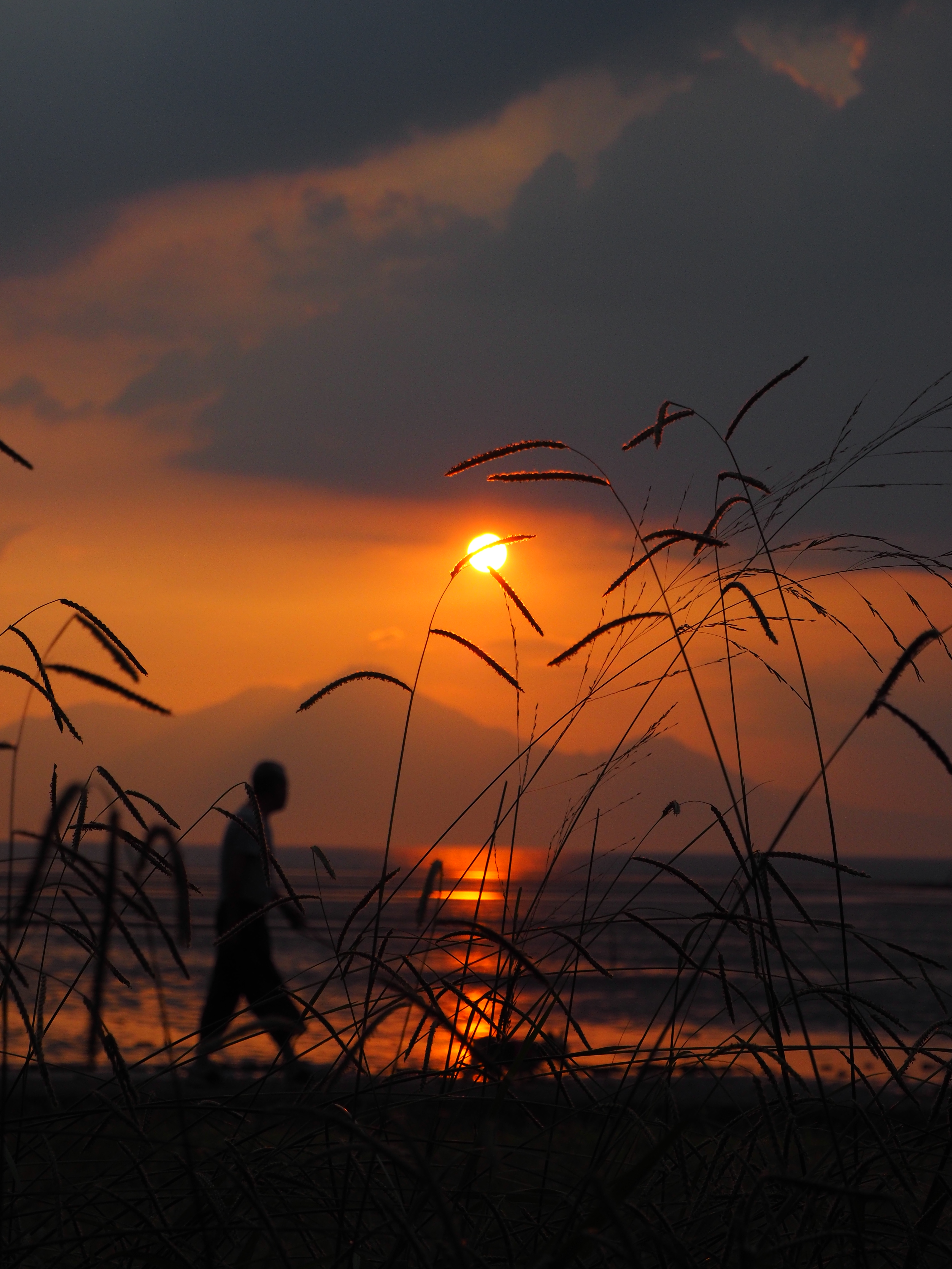 夕暮れ時に 福ミミ写真部