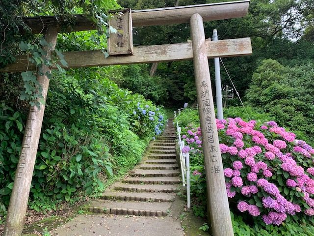 平岡夏希 アナウンサーブログ