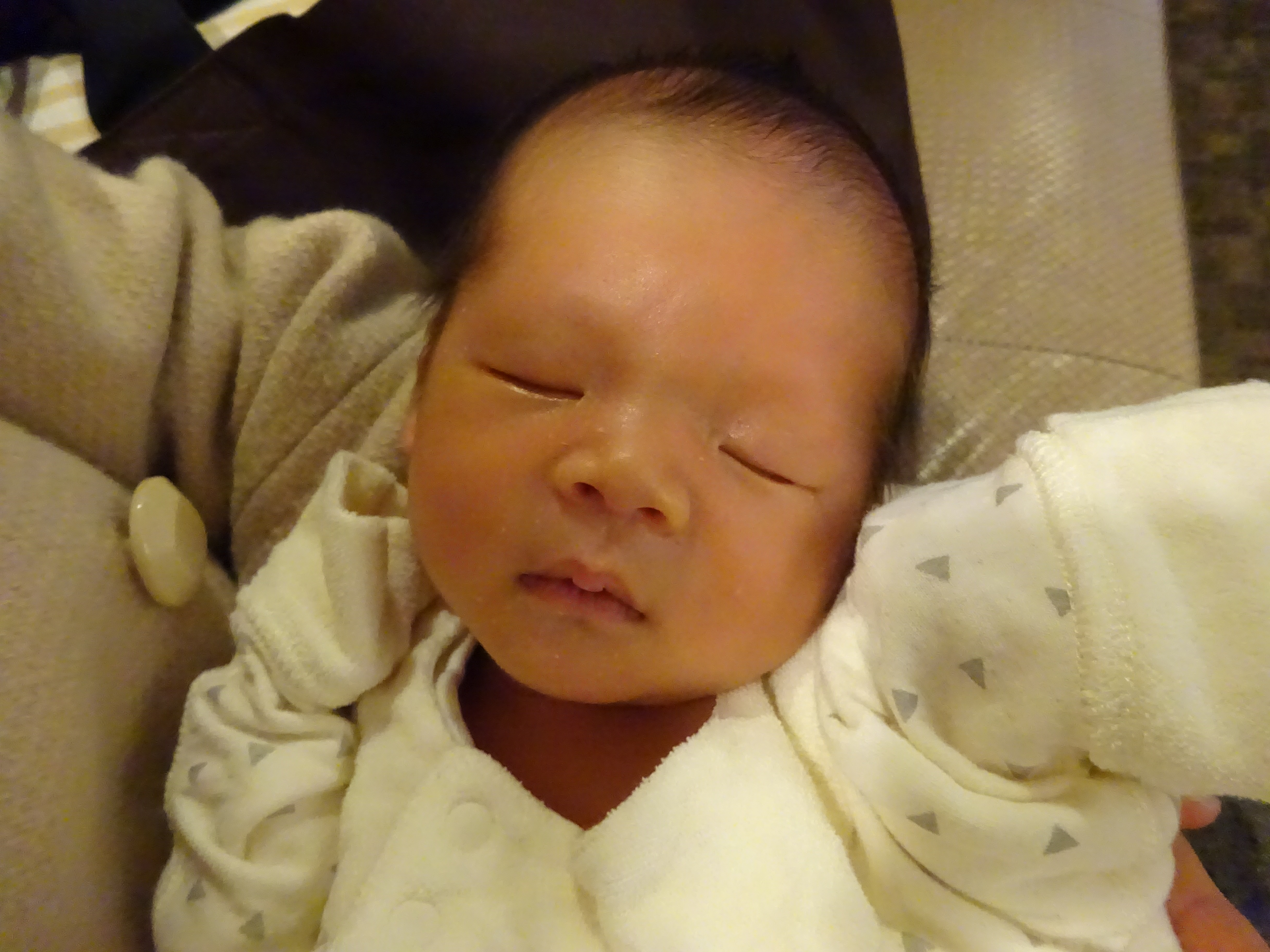 4月 17 こんにちは 赤ちゃん