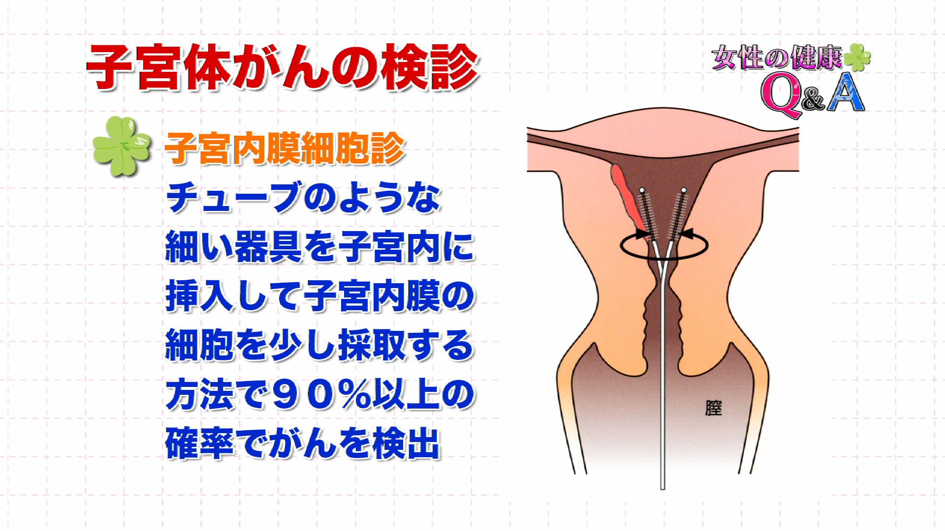 8月 14 女性の健康q A