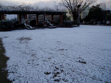 2010-12-31-snow-1.jpg