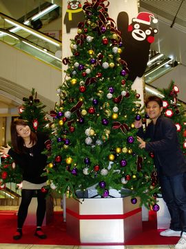 2011-12-12-tree-4.jpg