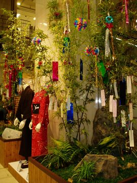 2011-6-23-tanabata-1.jpg