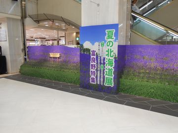 2013-6-5-furano-1.jpg