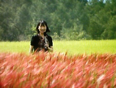 akagome08306.jpg