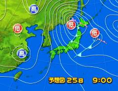 fuyu130124.jpg