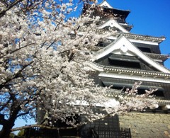 hana130329.JPG