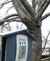 hyohon0322.jpg