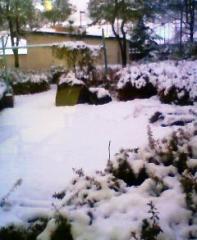 imari130118.jpg