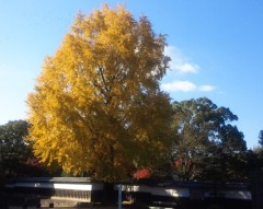 ishou1211152.JPG