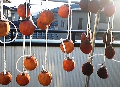 kaki21213.jpg