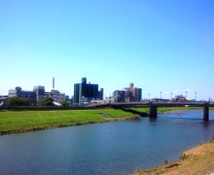 kawa1307122.JPG
