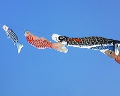 koi0503.jpg