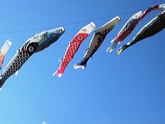 koinobori0406.jpg