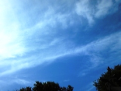 kumo0708.jpg