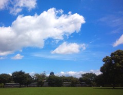 kumo130905.JPG