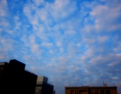 kumo1401072.JPG