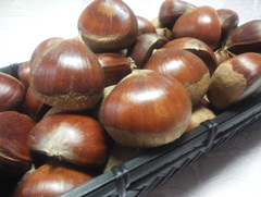 kuri120906.JPG