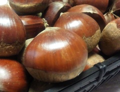 kuri130906.JPG