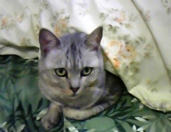 mai0216.jpg