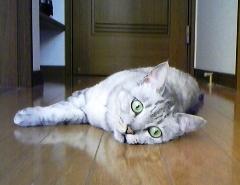 mai0508.jpg