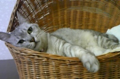 mai0525.jpg