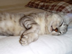 mai0528.jpg