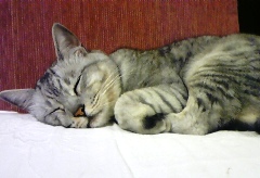 mai0613.jpg