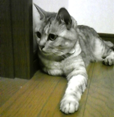 mai0621.jpg