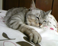 mai0628.jpg