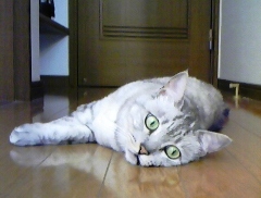 mai0818.jpg