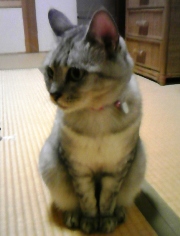 mai0825.jpg