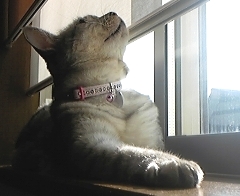 mai1108.jpg