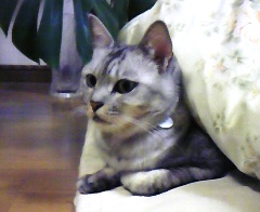 mai1124.jpg