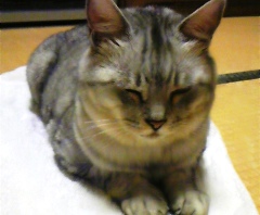 mai120802.jpg