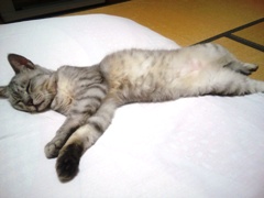mai120919.JPG