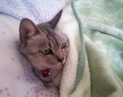 mai121122.JPG