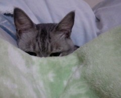 mai130108.JPG