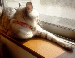 mai130222.JPG