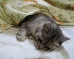 mai130410.JPG