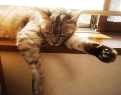 mai130429.JPG
