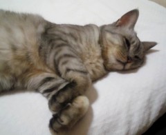 mai130808.JPG