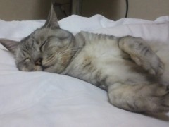 mai130911.JPG