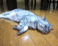 mai1310101.JPG
