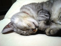 mai140505.JPG