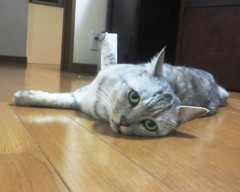 mai140718.JPG