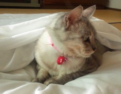 mai140828.JPG