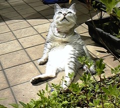 mai20110606.jpg