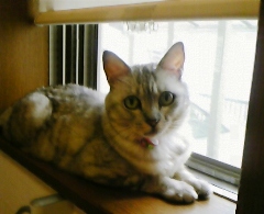 maimai0824.jpg