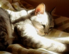 maimai121023.JPG
